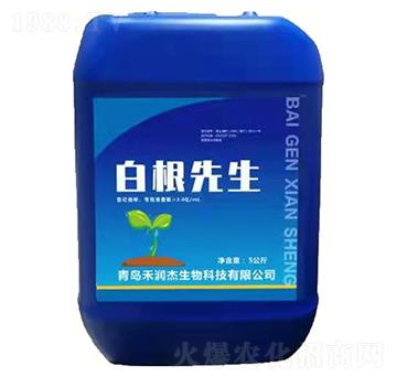 �׸�����-�̝���