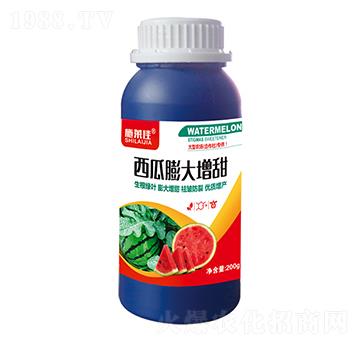 �����������-ʩ�R��-ӯ�S�r(n��ng)�I(y��)