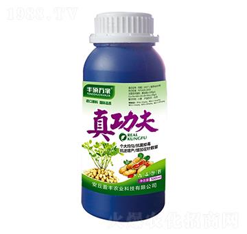 �湦��-�S�T�f��-ӯ�S�r(n��ng)�I(y��)