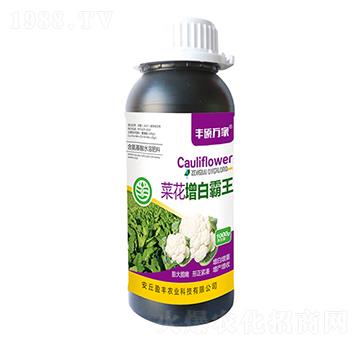 �˻����װ���-�S�T�f��-ӯ�S�r(n��ng)�I(y��)