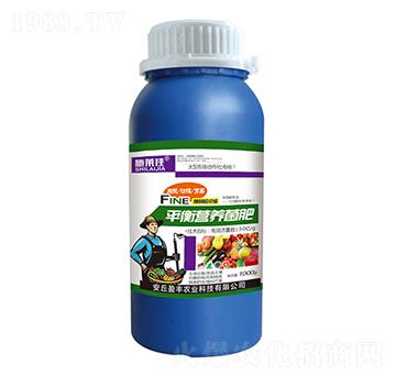 ƽ��I(y��ng)�B(y��ng)����-ʩ�R��-ӯ�S�r(n��ng)�I(y��)