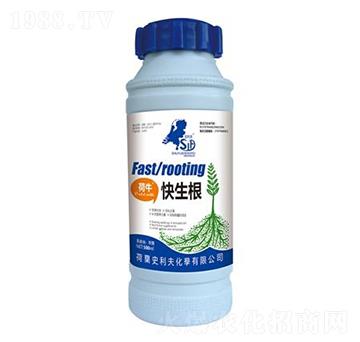 ����������-ʷ����