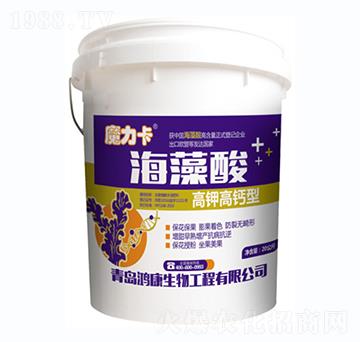 ��⛸��}��-ħ����������-��������