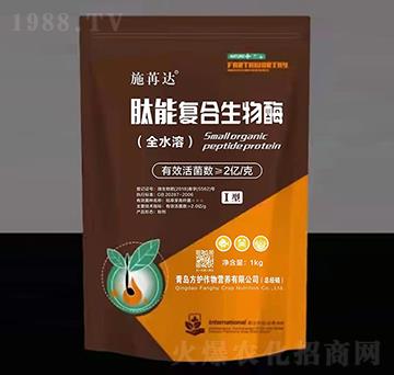 ���܏ͺ�����ø-ʩ���_-���o����