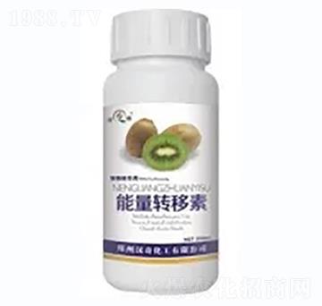 �J���������D(zhu��n)����-�h�滯��