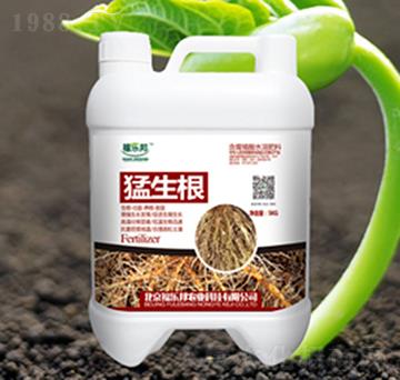 ������-������