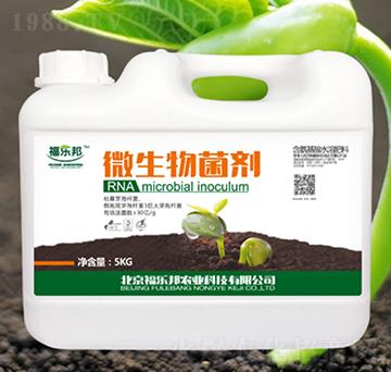 ΢�������-������