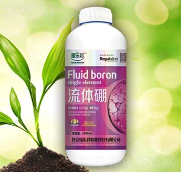 ���w��-������