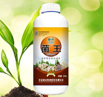 ����-����(l��)��