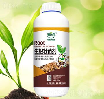 �������焩-������