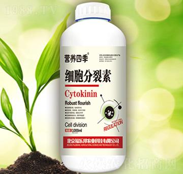 ����������-������