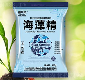 ���徫-������