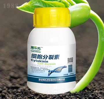 200g����������-������