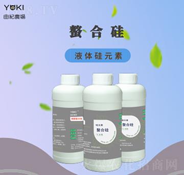 ���Ϲ��-�ɼo����