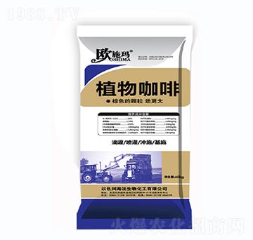 ֲ�￧��-һ������