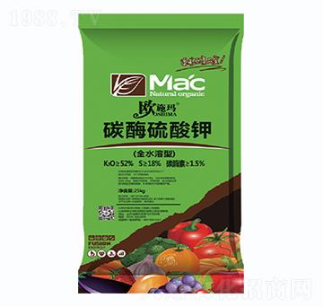 ̼ø�����-һ������(l��i)