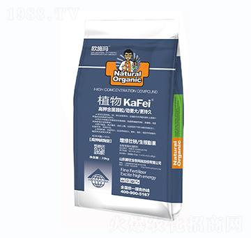 ֲ���⛺����w��-һ������