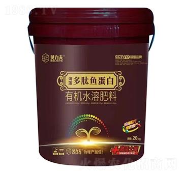 ��������~(y��)����-ؐ����-��?t��ng)��S