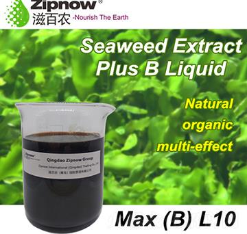 ������ȡ���BҺ--Max(B)L10-�̰��r(n��ng)