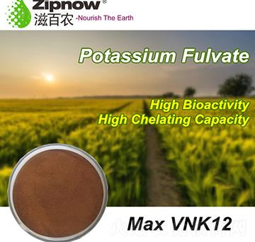 �S�����-Max-VNK12-�̰��r(n��ng)