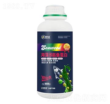 1000g��������~(y��)����-ؐ����-��?t��ng)��S