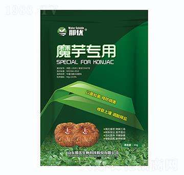 ħ����-һ������