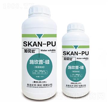 ʩ����-��-δ��(l��i)���W(xu��)