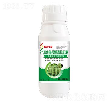 ���Ǵ߻���ֱ���L(zh��ng)��-����Ϧ��(sh��)-�����r(n��ng)�I(y��)