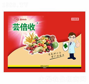 ȫ�I(y��ng)�B(y��ng)����߮a(ch��n)�ײ�-�|����-��С��