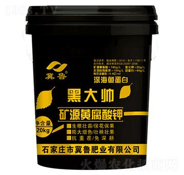 �VԴ�S�����-�ڴ�-�����ʘI(y��)