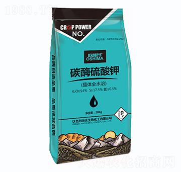 ̼ø�����-һ������(l��i)