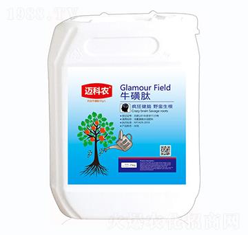 ������-�~���r(n��ng)-�Έ�����