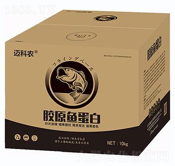 �zԭ�~����-�~���r(n��ng)-�Έ�����