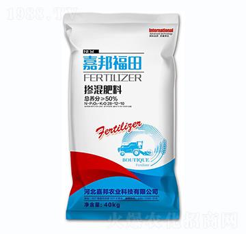 �������28-12-10-�ΰ��-�ΰ��