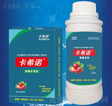 ��ݮ����-��ϣ�Z