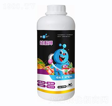 1000g�����-�L(zh��ng)ɭ����