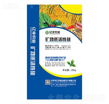 �V���|(zh��)���Թ�-�|�S