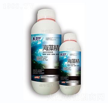 ���徫-��(zh��n)܇