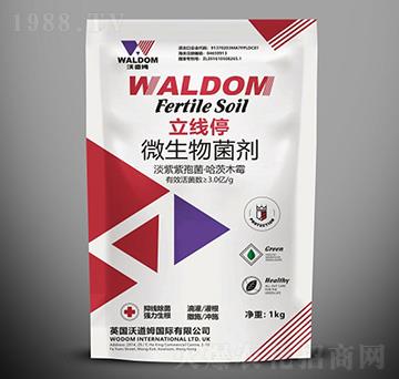 ΢�������-����ͣ-�ֵ�ķ