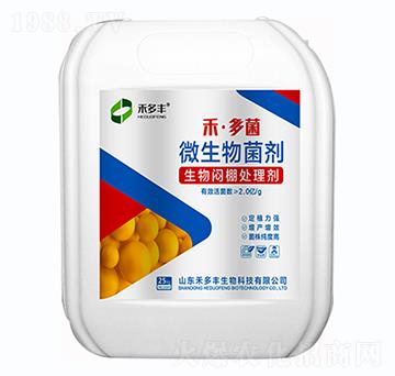 ΢��������������̎�턩��-�̶��-�̶��S