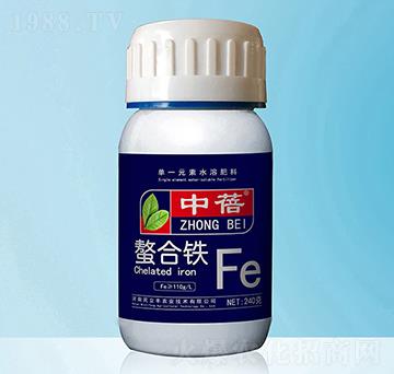 �����F-����-�����S