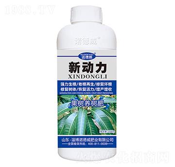 ����(sh��)�B(y��ng)��(sh��)��-��(d��ng)��-�Z