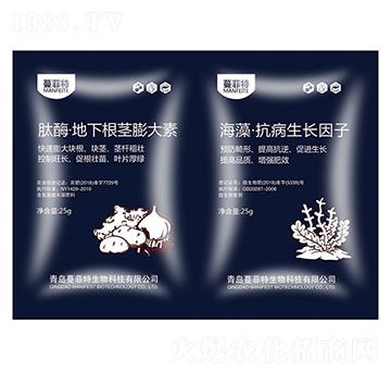 ���x�ӡ����(l��i)���L(zh��ng)���v�