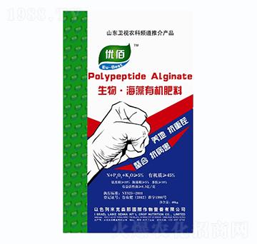 ��������ЙC(j��)����-����