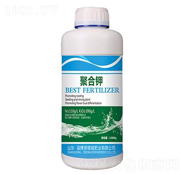 �ۺ��-�Z����