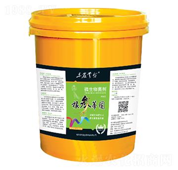 ����ٹ�΢�������-���_(t��i)