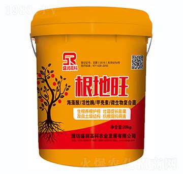 ������-ʢ���߿�