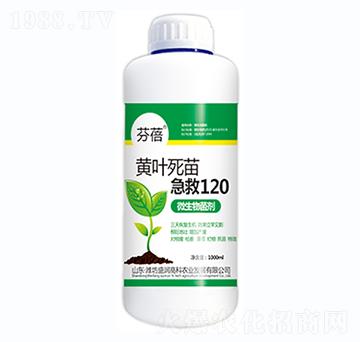 �S�~���缱��120-����-ʢ��(r��n)�߿�