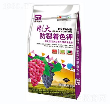 ��������ɫ�-ʢ���߿�