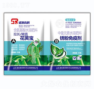 ���v��+���P���߄�-ʢ���߿�